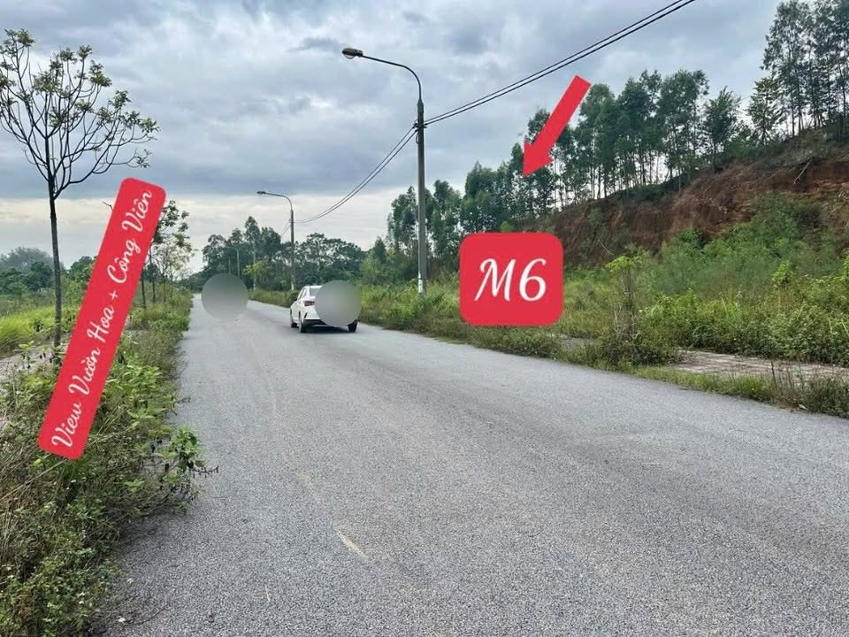 Đất nền phân lô Tam Hợp, Vĩnh Phúc 100m² giá 1.8 tỷ - Đầu tư sinh lời ngay!