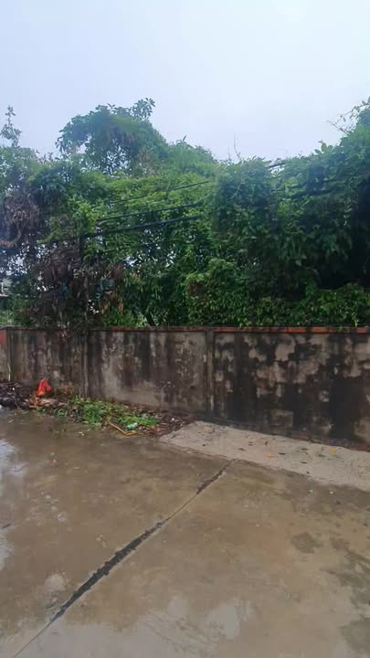 Bán đất 315m² tại Nam Điền, Nghĩa Hưng - Đường rộng, giá hợp lý cho nhà đầu tư!