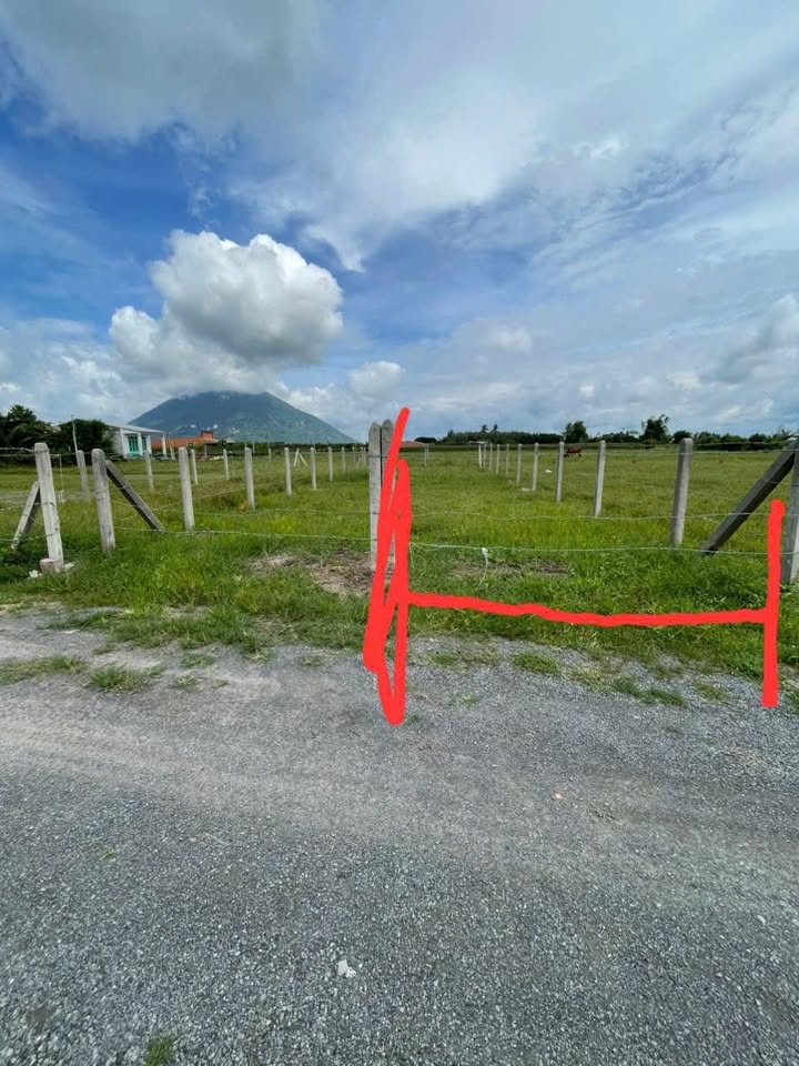 Đất nền Tân Định Dương Minh Châu 112m² giá chỉ 189 triệu - Cơ hội đầu tư tuyệt vời!