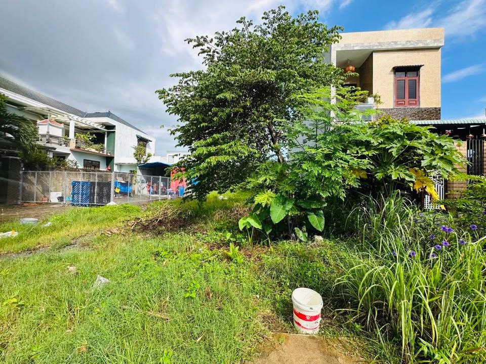 Đất nền 100m² mặt tiền đường Nam Kỳ Khởi Nghĩa giá 6 tỷ - Đầu tư sinh lời ngay!