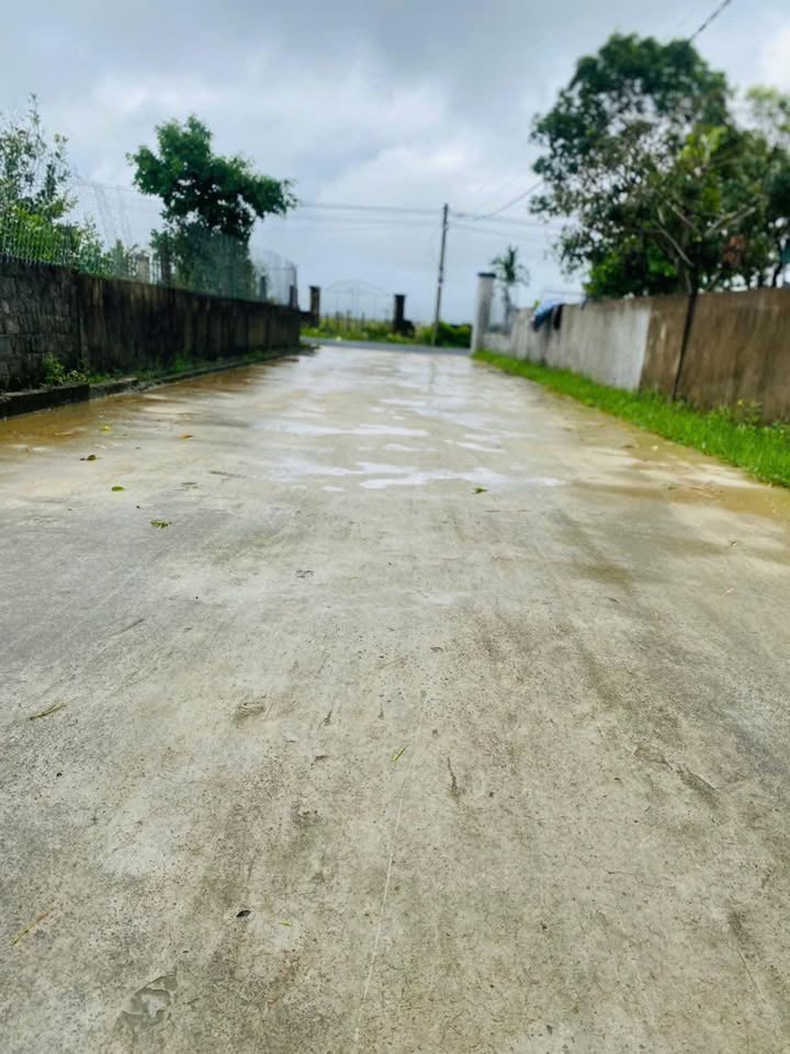 Đất nền thôn Tân Thanh, xã Thạch Xuân 120m² giá 900 triệu - Vị trí trung tâm thuận lợi!