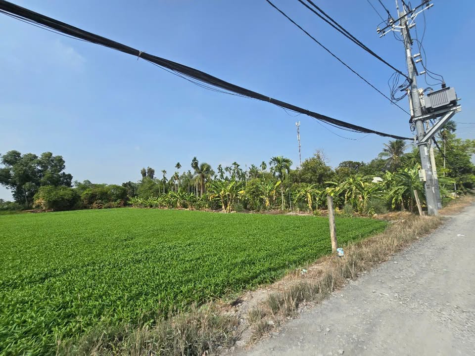 Đất Bình Mỹ Củ Chi 2056m² giá 17.5 tỷ - Mặt tiền đường 163, thuận tiện kinh doanh!