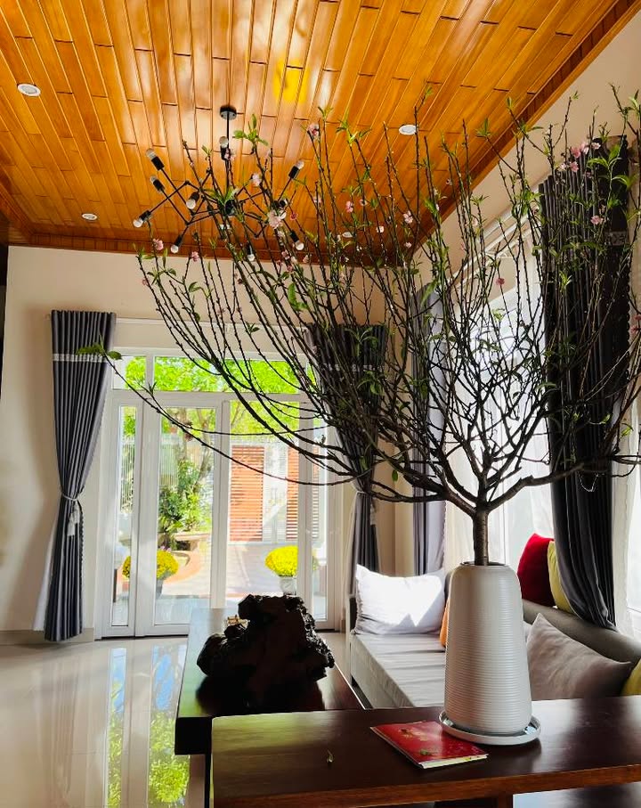 Bán nhà mái Thái 290m² đường Ngô Đức Kế, TP Kon Tum - Giá 3.5 tỷ, thương lượng