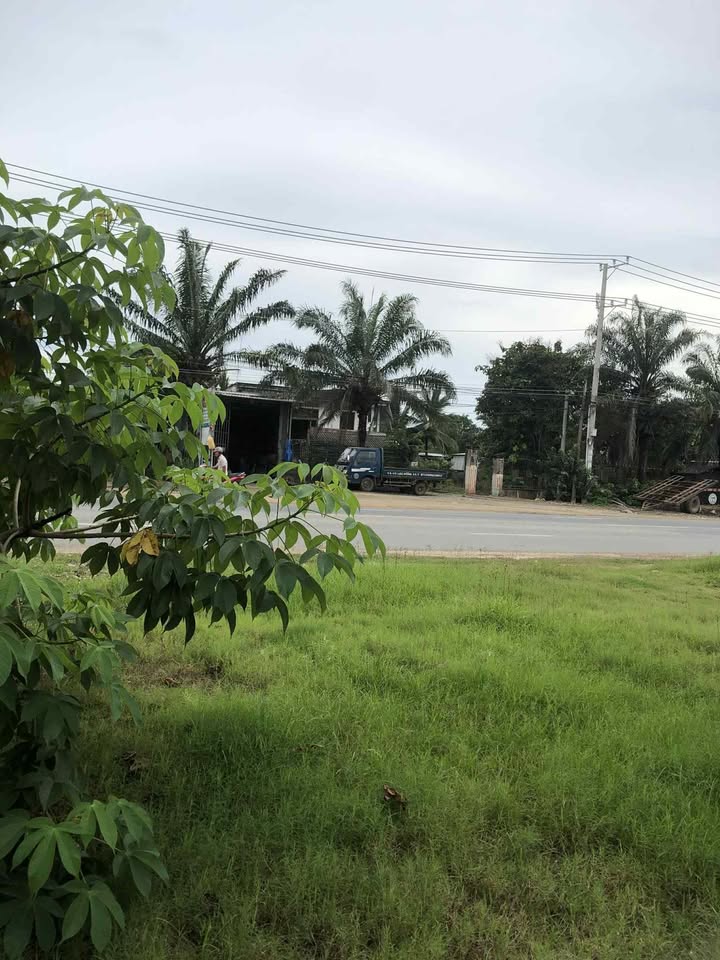 Đất nền mặt tiền Quốc lộ 1A, Xuân Lộc, 224m² - Cơ hội đầu tư lý tưởng!