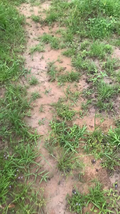 Nhà cho thuê tại Xuân Lộc, Đồng Nai - Giá thỏa thuận, đầy đủ tiện nghi