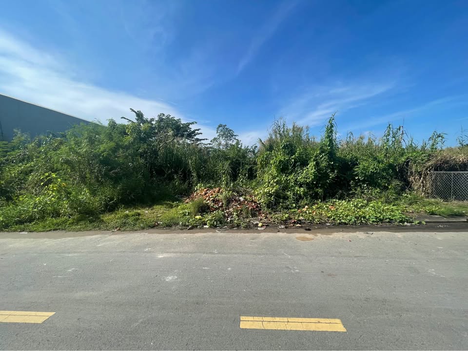 Đất nền Dự án LIA - Nguyễn Đình Chiểu, Sóc Trăng - 2691m² giá 15.5 tỷ - Đầu tư sinh lời ngay!