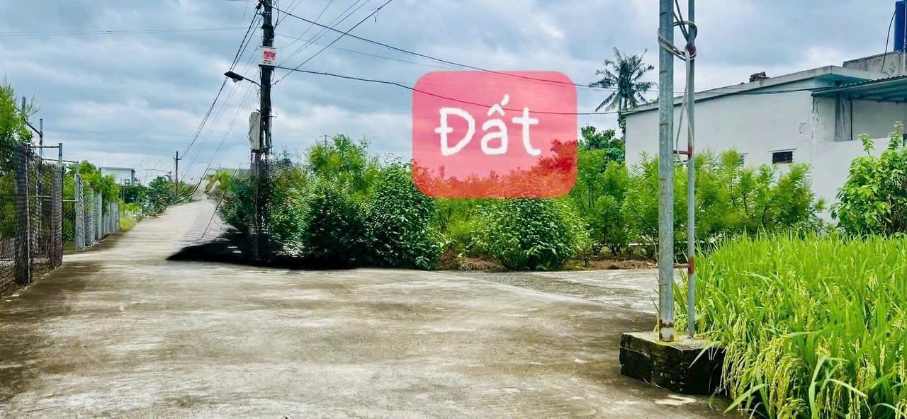 Đất nền Đông Trà Tiền Hải 151m² giá chỉ 800 triệu - Lô góc 2 mặt tiền