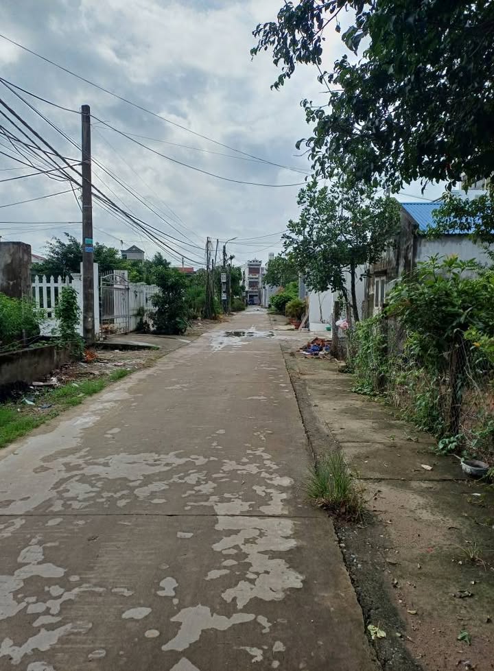 Bán đất xã Nam Mỹ, huyện Nam Trực, 150m² giá 990 triệu - Ô tô vào tận đất!