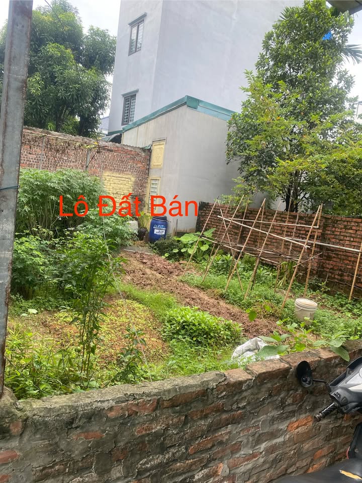 Đất Phúc Lợi Long Biên 30m² giá 3.9 tỷ - Tiềm năng tăng giá cao!