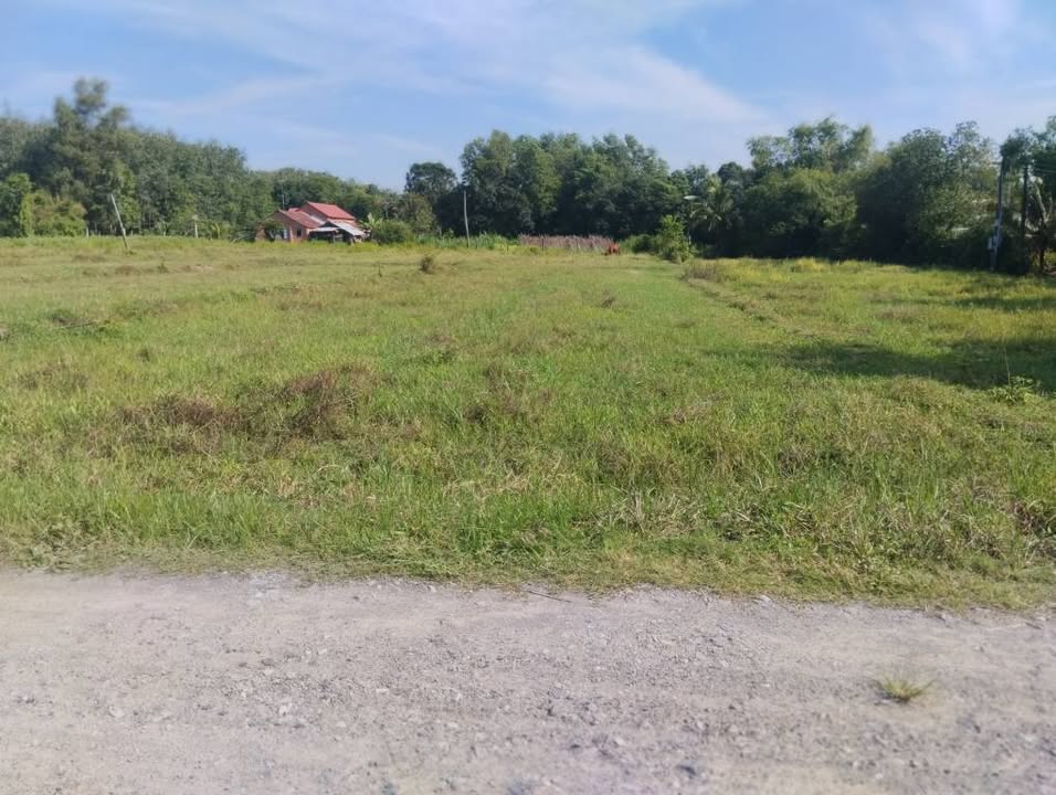 Đất Lúa Gia Lâm, Gia Lộc, Trảng Bàng 500m² giá 450 triệu - Cơ hội đầu tư tuyệt vời!