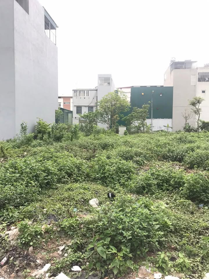 Đất tái định cư Tứ Hiệp 30m² giá 7.6 tỷ - Đường ô tô tránh nhau thoải mái!