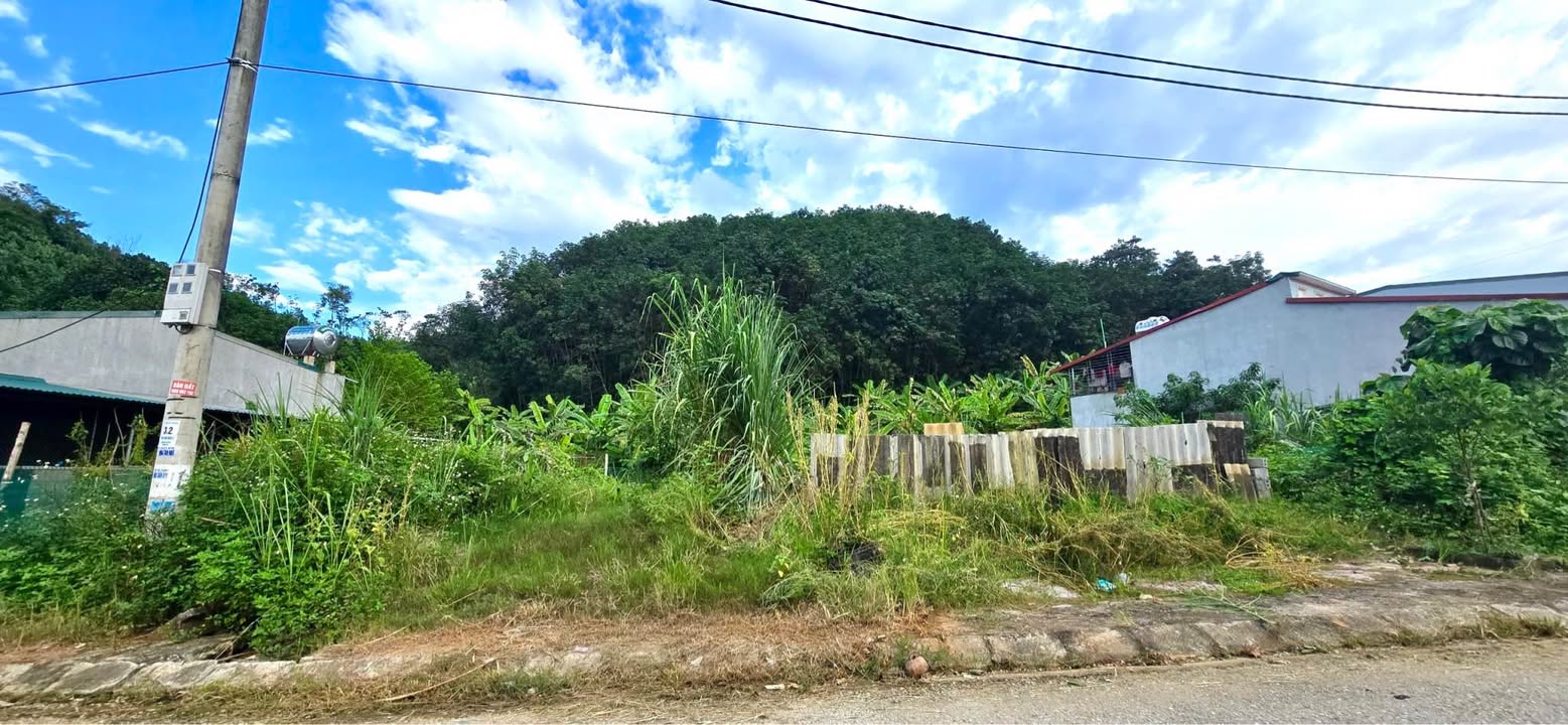 Đất nền Vũ Trọng Phụng - 145m² giá chỉ 1.6 tỷ - Cơ hội đầu tư tuyệt vời!