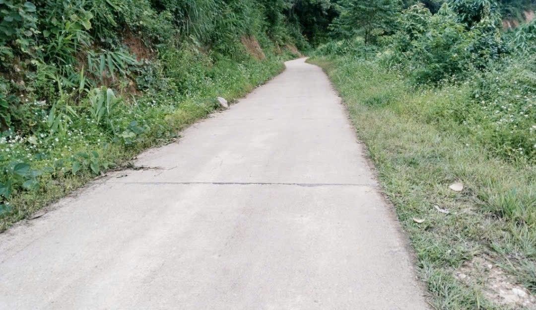 Đất Farm 3ha tại Vĩnh Yên, Lạng Sơn chỉ 290 triệu - Thế đất đẹp, giao thông thuận lợi!