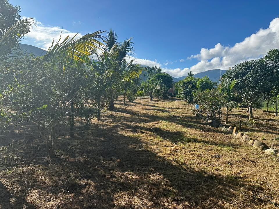 Đất nền Đinh Lạc, Di Linh 720m² giá 1.1 tỷ - Tiềm năng đầu tư hấp dẫn!