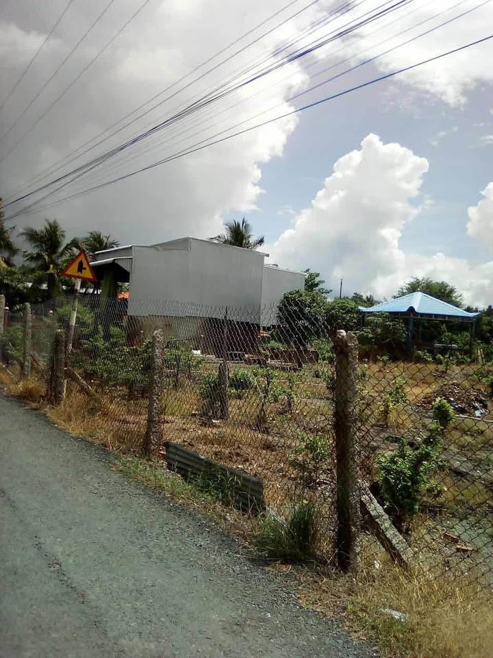 Đất trồng cây lâu năm 2000m² đường Huỳnh Văn Thu - Giá chỉ 950 triệu/công!