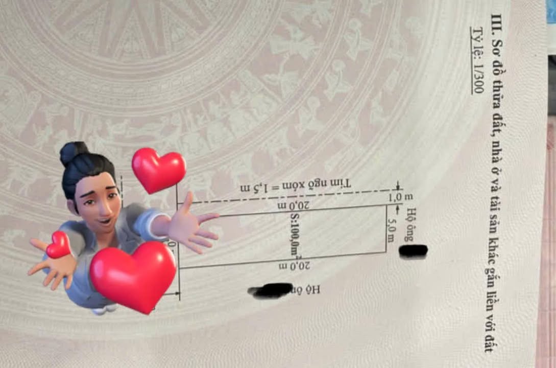 Đất nền TDP Bạch Mai, phường An Hải, Hải Phòng 100m² giá 3 tỷ - Vị trí đắc địa cho đầu tư!