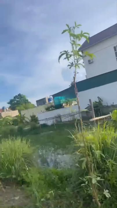 Đất chính chủ Quỳnh Giang 273m² giá thỏa thuận - Đầu tư lý tưởng!