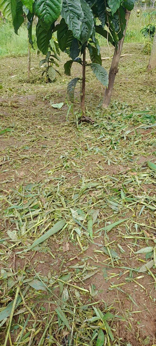 Đất nền Ea Drông Buôn Hồ 360m² giá 320 triệu - Pháp lý rõ ràng, chính chủ bán!