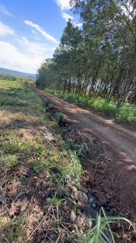 Đất nền 20,000m² tại xã Ia Boòng, Chư Prông - Giá thỏa thuận hấp dẫn!