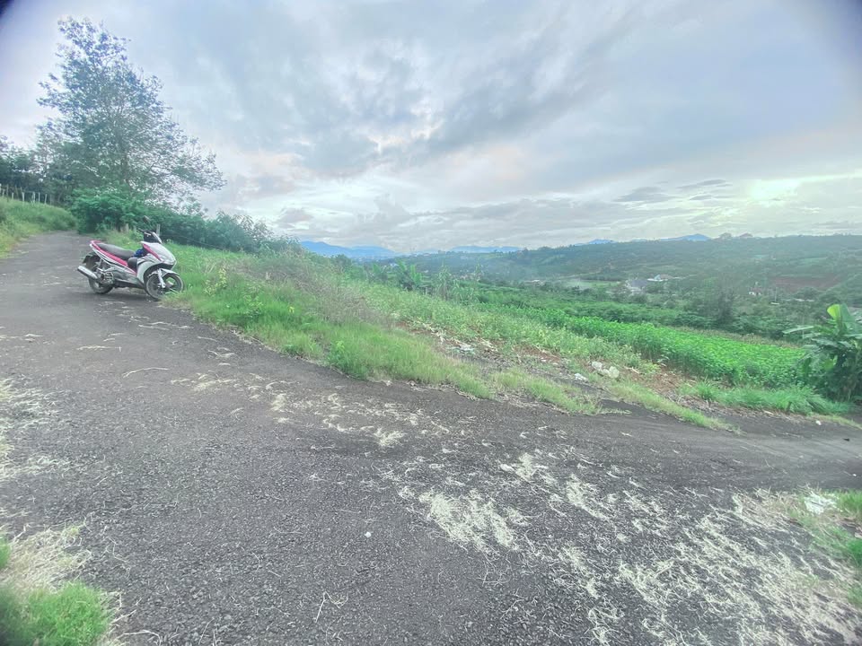 Đất nền hẻm 71 Trần Nhật Duật, Bảo Lộc 240m² giá 1.1 tỷ - Sổ đỏ chính chủ!