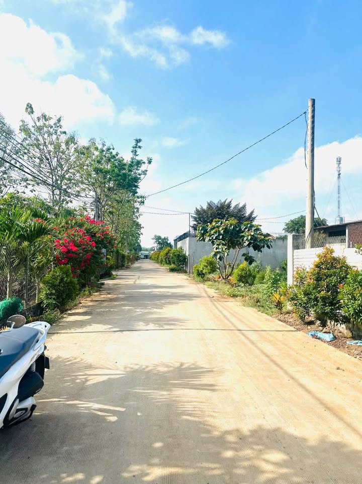 Đất mặt tiền đường số 8, Phúc Nhạc, 3600m² giá 1.25 tỷ - Cơ hội đầu tư tuyệt vời!