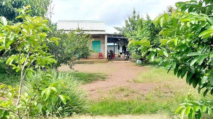 Đất thổ cư xã Minh Hưng, Chơn Thành 2000m² giá chỉ 390 triệu - Cơ hội đầu tư tuyệt vời!