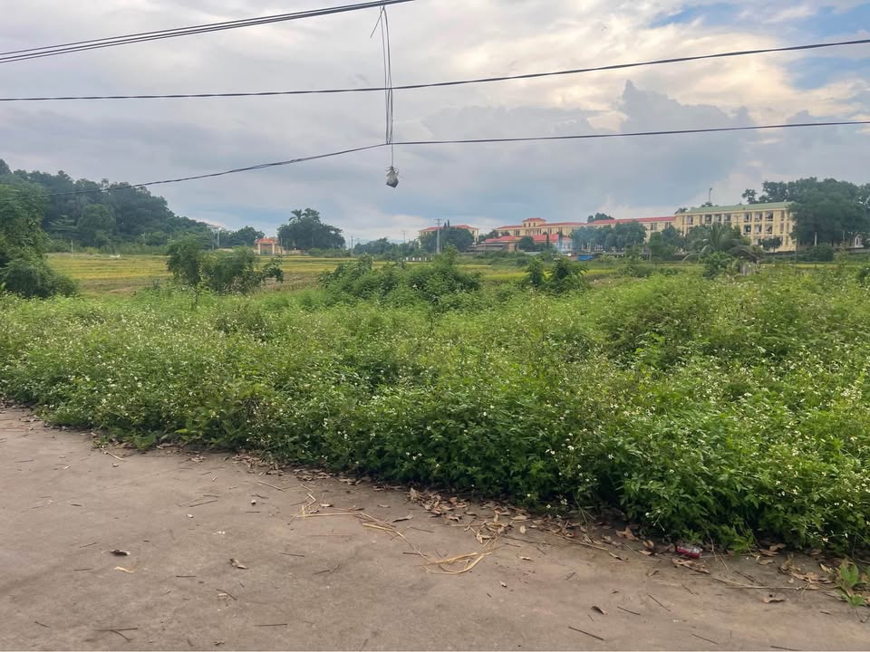 Đất nền Tân Hưng, Lạng Giang 100m² giá 700 triệu - Tiềm năng sinh lời cao!