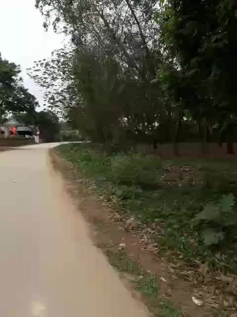 Đất nền Nghĩa Hồng 333m² giá 700 triệu - Đường nhựa rộng 12m thuận lợi!