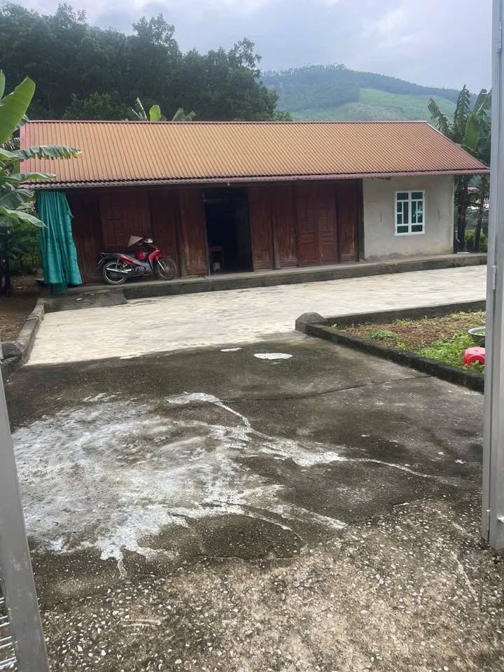 Đất Farm Minh Hoà Yên Lập 3200m² giá 1 tỷ - Đầu tư sinh lời tuyệt vời!