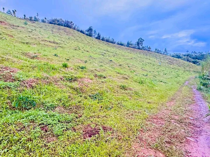 Đất vườn 6.125m² tại Lộc Bắc, Di Linh - Phù hợp nghỉ dưỡng và đầu tư!