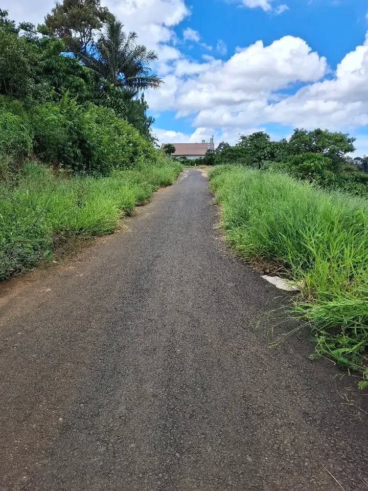 Đất nền Hẻm 20 Nguyễn Trãi, Bảo Lộc 1600m² giá 1.25 tỷ - Đầu tư sinh lời ngay!