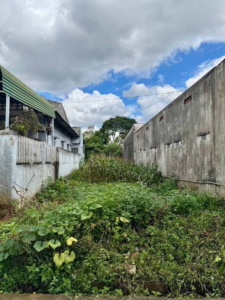 Bán gấp FrontHouse hẻm 82 Nguyễn Tri Phương 125m² giá 1.6 tỷ - Đầu tư sinh lời!