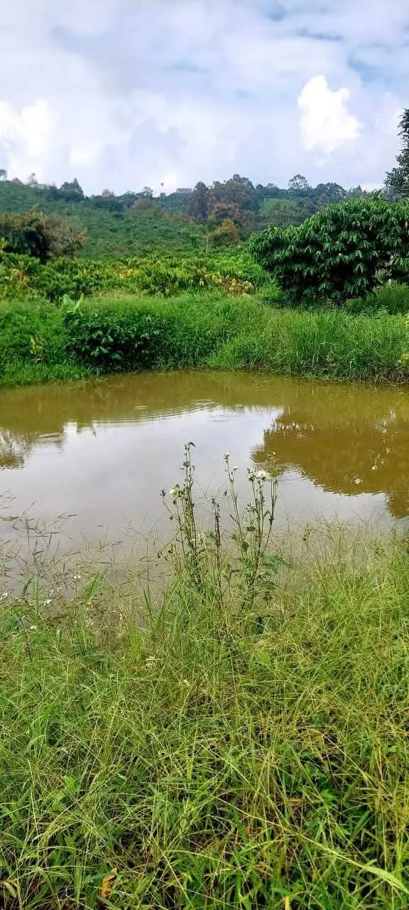 Đất nông nghiệp Lộc Nga, Bảo Lộc 3600m² giá 1.05 tỷ - Đầu tư sinh lời hấp dẫn!