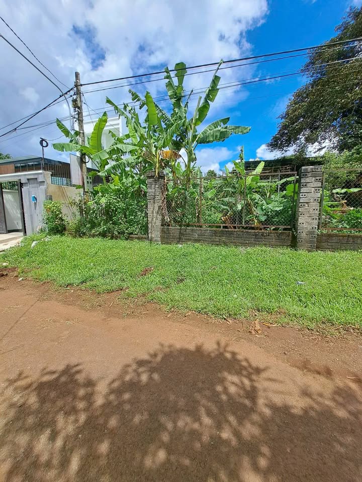 Đất nền mặt tiền đường Ỷ LAN, Biển Hồ, Pleiku 115m² - Đầu tư sinh lời ngay!