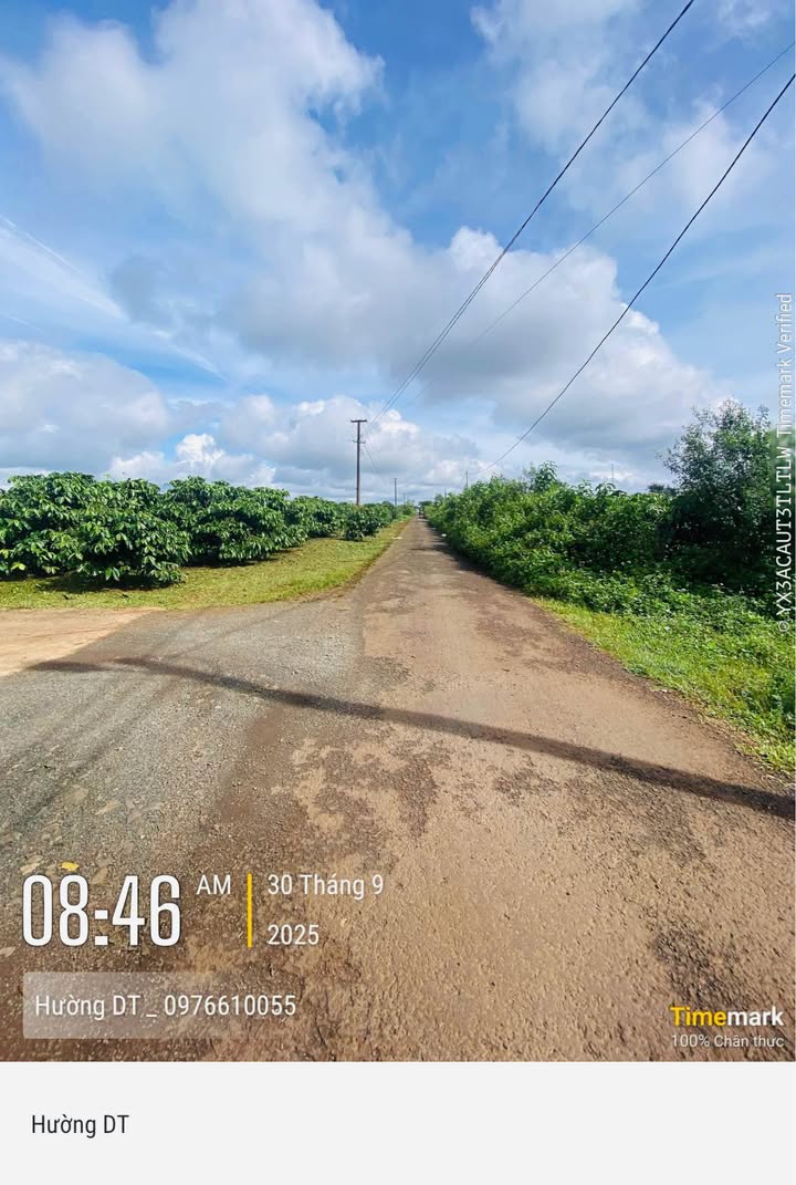 Đất nền hẻm chính Nguyễn Kiệm, Pleiku 8190m² giá 1.5 tỷ - Đầu tư sinh lời ngay!