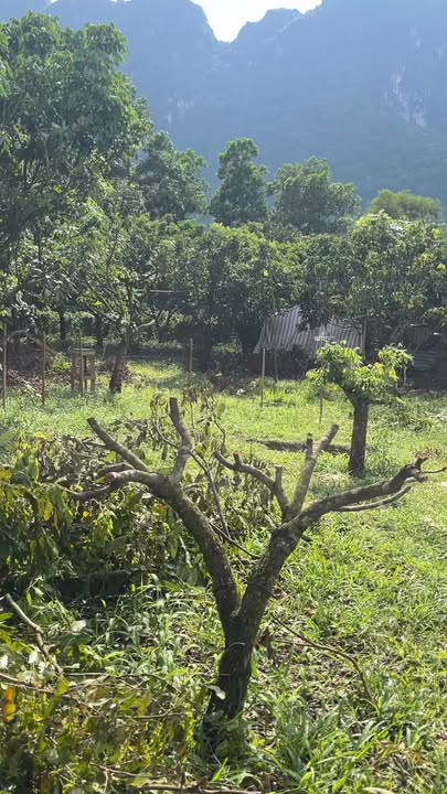 Đất nền nghỉ dưỡng 6000m² tại Lạc Thủy, Hòa Bình - Giá chỉ 3 tỷ