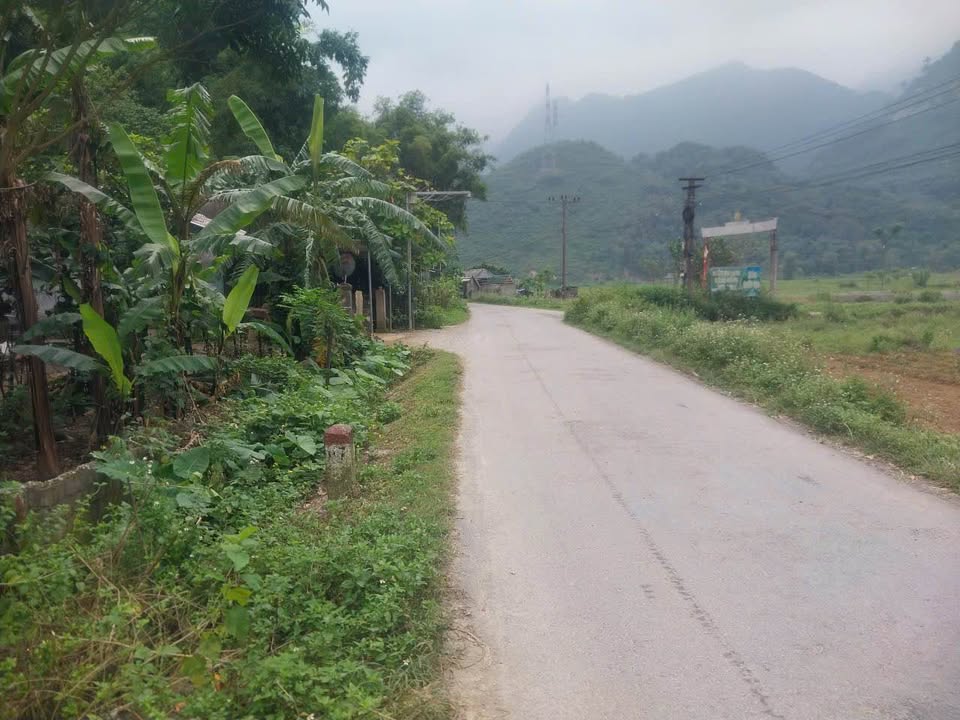 Đất thổ cư Phú Cường, Tân Lạc 85m² giá 200 triệu - Đầu tư sinh lời nhanh!