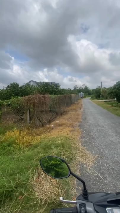 Đất cây Phước Đông Gò Dầu 294m² giá 700 triệu - Đầu tư sinh lời tuyệt vời!