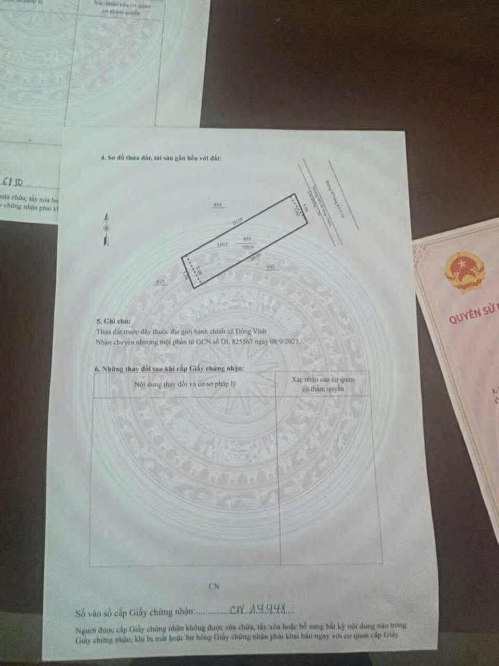 Đất nền Đông Vinh, TP Thanh Hóa 100m² giá 600 triệu - Cơ hội đầu tư sinh lời cao!