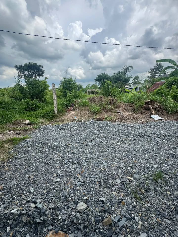 Đất nền Gò Dầu 260m² giá 500 triệu - Cơ hội đầu tư hấp dẫn!