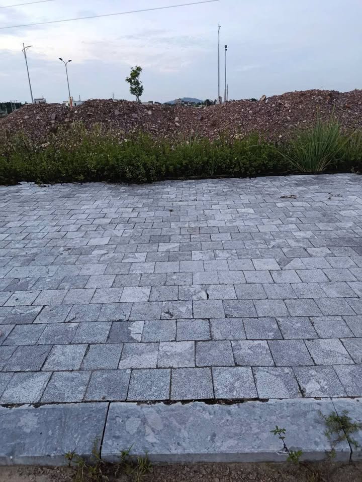 Đất nền khu dân cư mới OM7 - Phường Rừng Thông, 96m² giá 3.15 tỷ - Đầu tư bền vững!