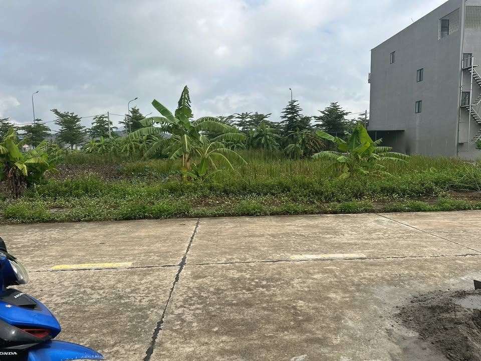 Đất nền Gia Vượng Ninh Bình 100m² - Hướng Nam, giá hợp lý chờ bạn!