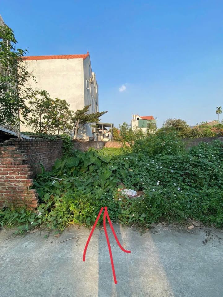 Đất nền Tiên Xá, Cẩm Xá, Mỹ Hào 100,5m² giá 2 tỷ - Cơ hội đầu tư hấp dẫn!