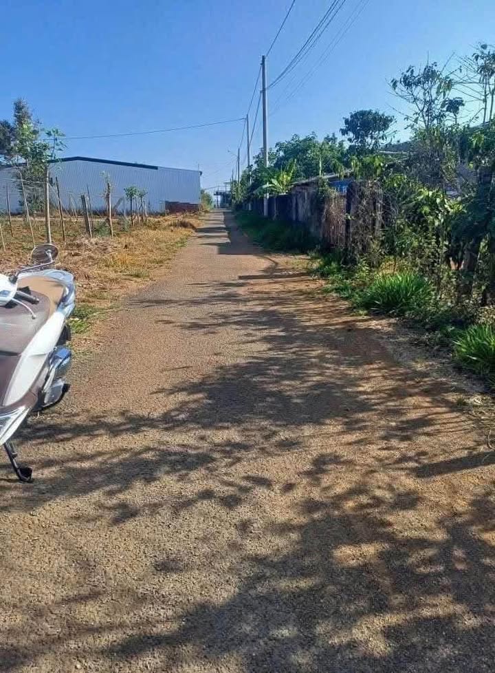 Đất hẻm Nguyễn Trãi, Bảo Lộc, 216m², giá 1.6 tỷ - Đầu tư sinh lời ngay!