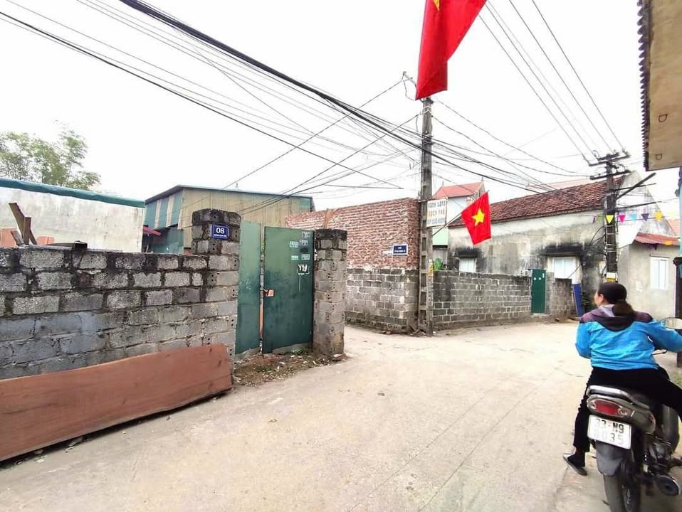 Đất lô góc Thường Tín 52,3m² giá 1,99 tỷ - Ô tô đỗ cửa, vị trí đẹp!