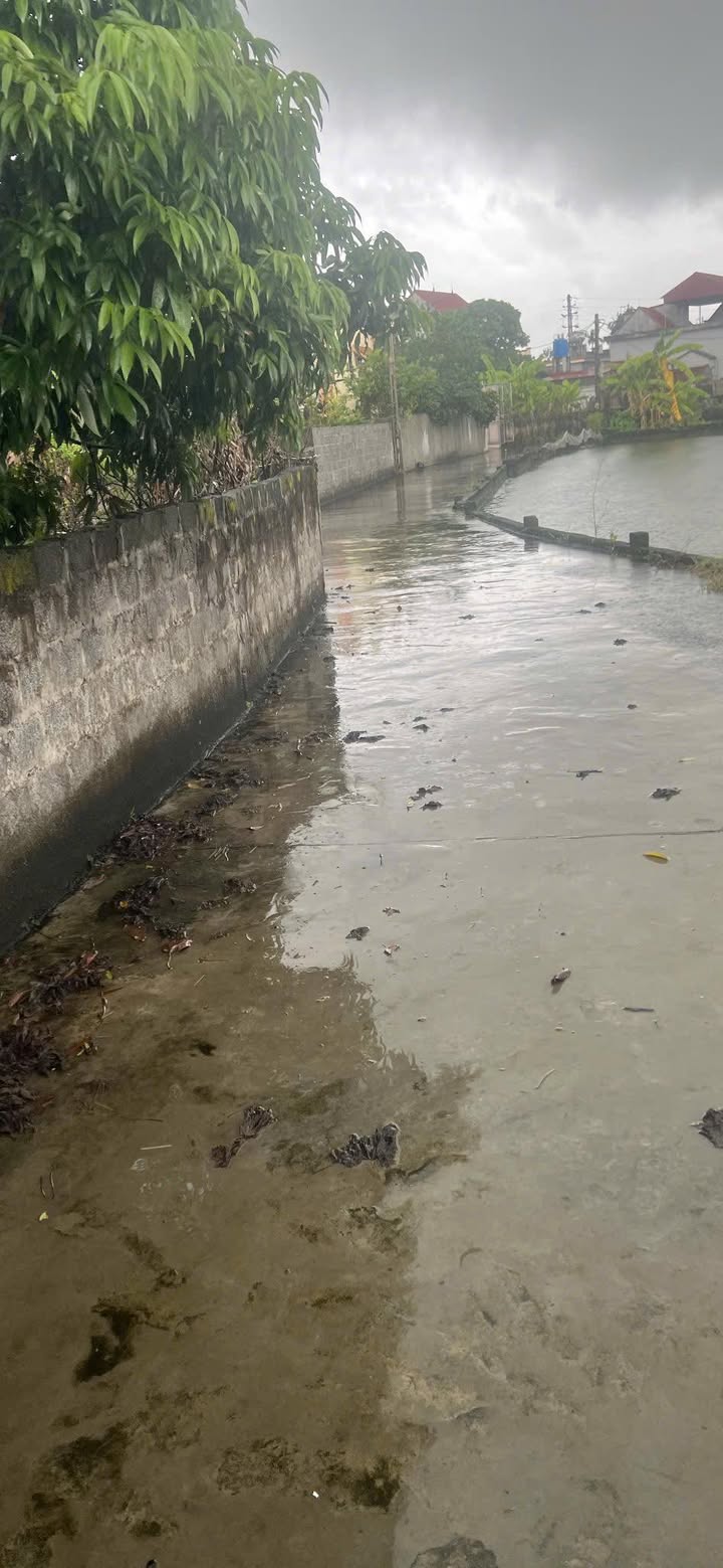 Đất nền 1052m² tại xã Tam Đa, huyện Phù Cừ - Giá chỉ 4.208 tỷ VND!