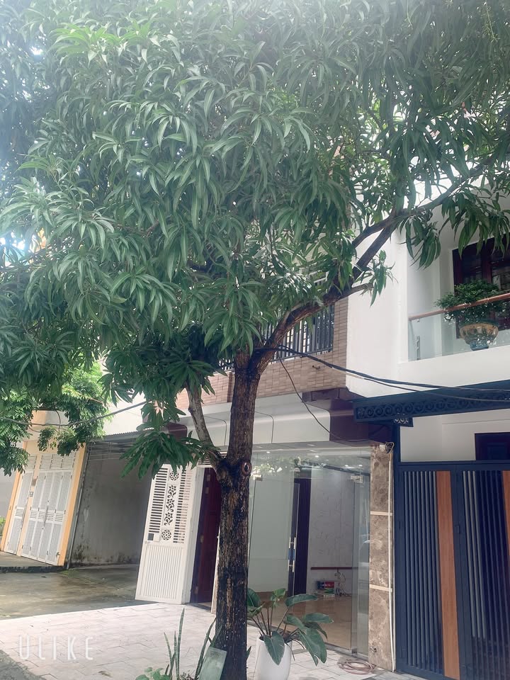 Nhà 3 tầng khu II – KĐT Bình Minh, Đông Hương 80m² giá 6.4 tỷ - Chính chủ bán ngay!