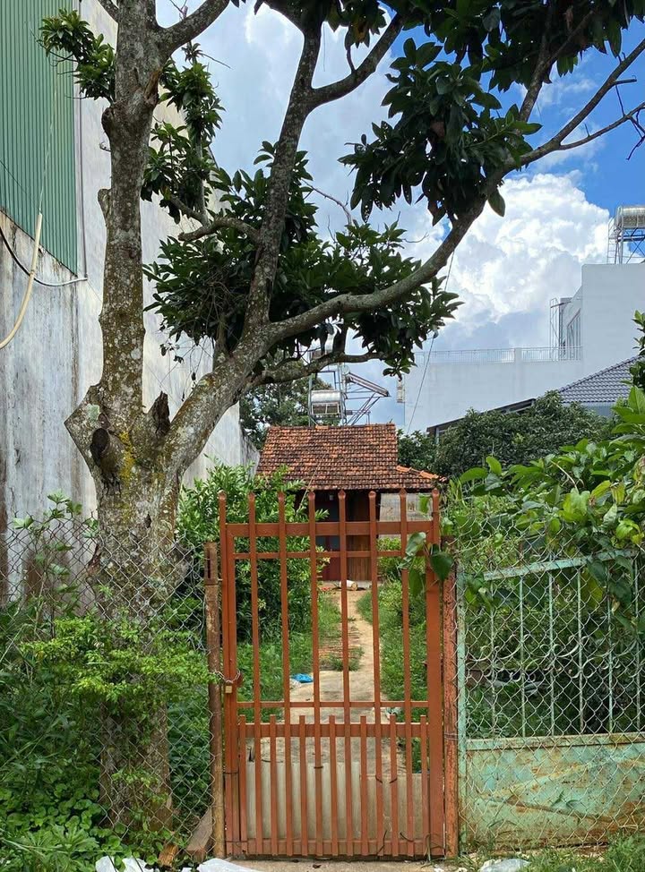 Đất thổ cư đường Lê Lợi Đắk Mil 165m² giá 2.05 tỷ - Đầu tư sinh lời ngay!