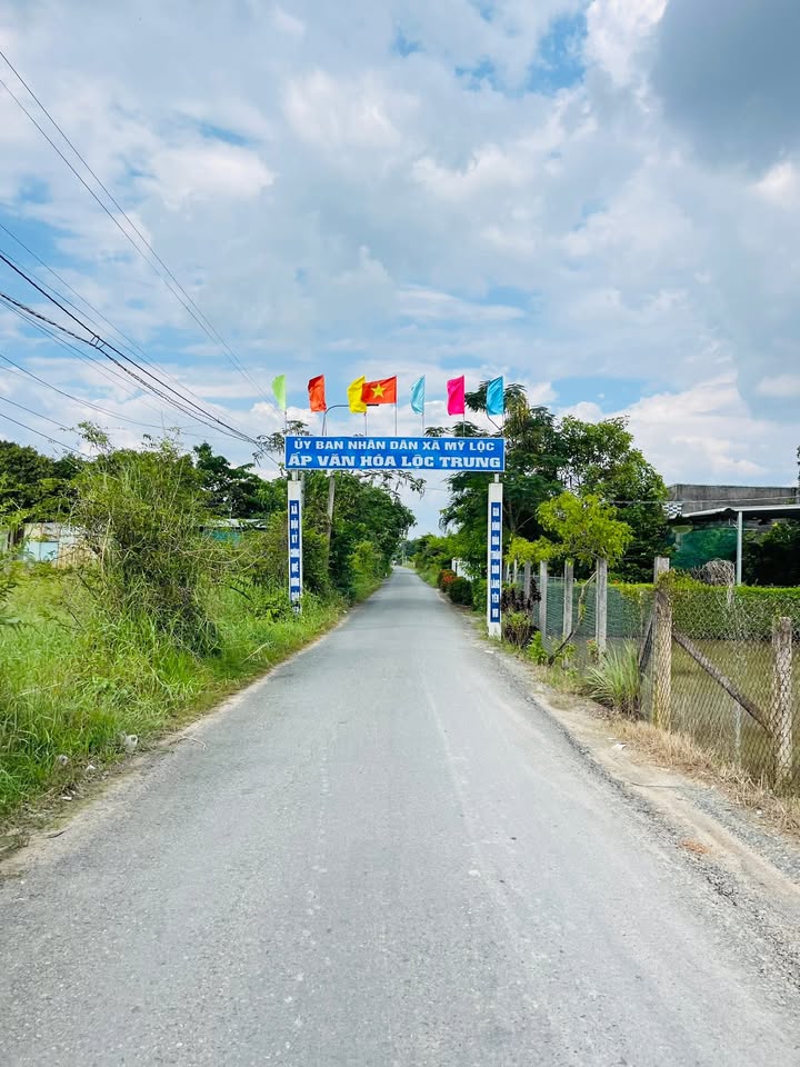 Đất Thổ Cư Cần Giuộc 200m² giá 1.25 tỷ - Mặt tiền nhựa Lộc Trung