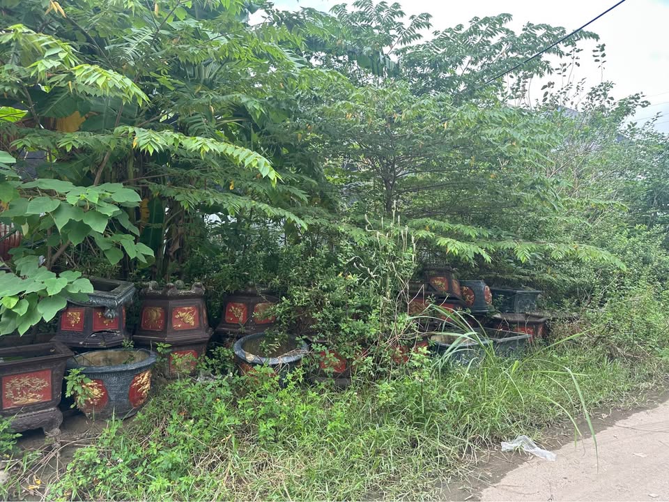 Đất phân lô dịch vụ Trạm Trôi 68m² giá 10.5 tỷ - Sổ đỏ chính chủ, vị trí đắc địa!